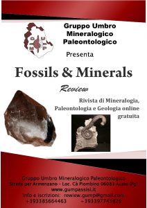 fossils-minerals